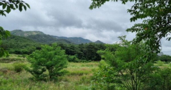 경상북도 경주시 배동 OOO 답 경매 물건 이미지