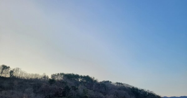 경상북도 영덕군 병곡면 각리리 OOO 임야 경매 물건 이미지