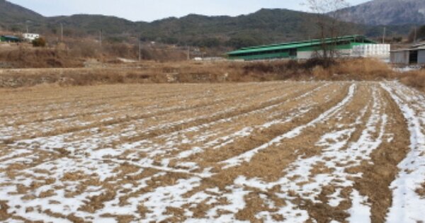 경상남도 거창군 가조면 도리 OOO O OOO 하천 경매 물건 이미지