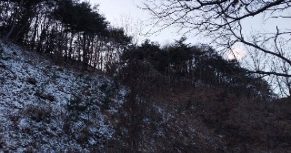 충청남도 공주시 신풍면 화흥리 OOOOO 임야 경매 물건 이미지