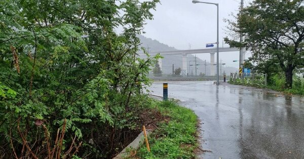 강원도 강릉시 성산면 구산리 OOOOO 전 경매 물건 이미지