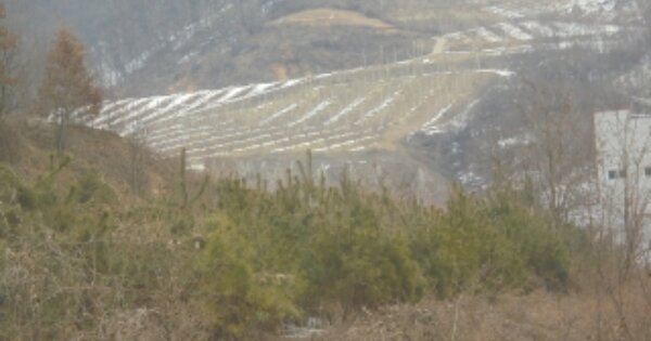 충청북도 음성군 음성읍 평곡리 OOOOOO O OOO 임야 경매 물건 이미지