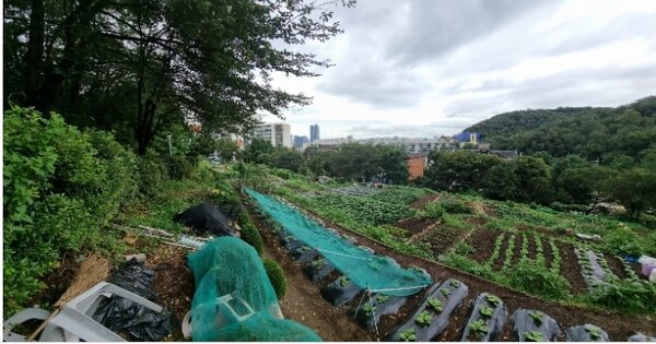 경기도 부천시 심곡본동 OOOOOOO O OOO 전 경매 물건 이미지