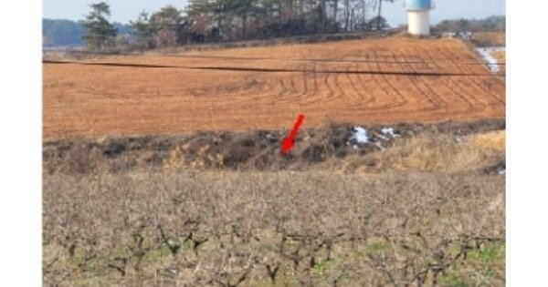 전라남도 영암군 도포면 수산리 OOO O OOO 답 경매 물건 이미지