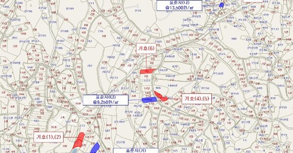 전라남도 영암군 도포면 성산리 OOO O OOO 전 경매 물건 이미지