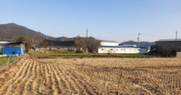 전라남도 보성군 조성면 용전리 OO 대지 경매 물건 이미지