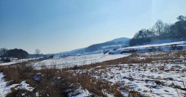 충청남도 당진시 송악읍 영천리 OOOOO 답 경매 물건 이미지