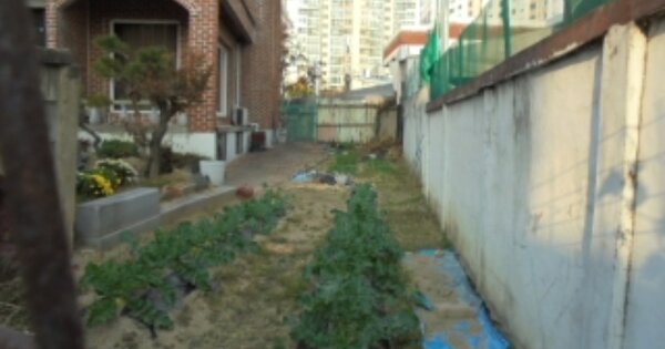 충청북도 청주시 상당구 금천동 OOOOO 답 경매 물건 이미지