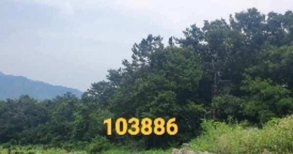 부산광역시 기장군 정관읍 용수리 OOOOOO 임야 경매 물건 이미지