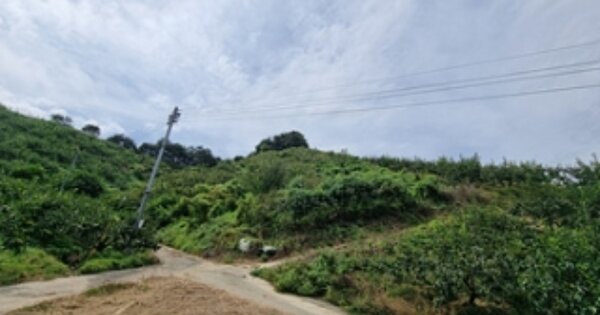 경상남도 창원시 의창구 북면 마산리 OOOOO 과수원 경매 물건 이미지