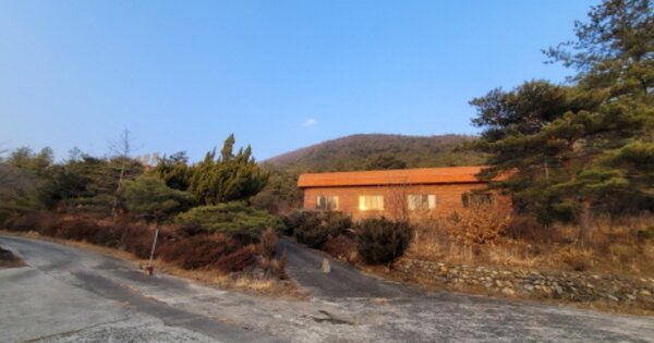 경상북도 영천시 임고면 삼매리 OOOOO O OOOO 임야 경매 물건 이미지