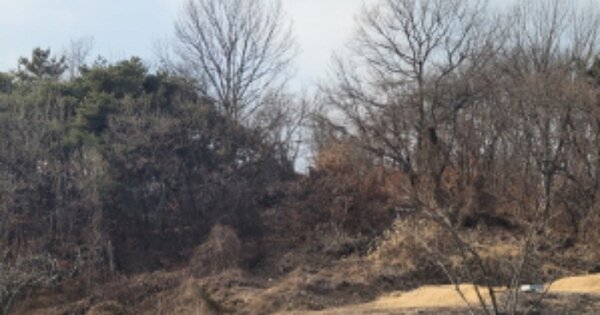경상북도 청도군 이서면 구라리 OOOOO 전 경매 물건 이미지