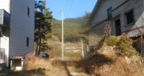 강원도 정선군 정선읍 용탄리 OOOOO O OOO 숙박시설 경매 물건 이미지