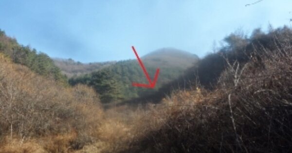 강원도 정선군 고한읍 고한리 OOOOO 임야 경매 물건 이미지