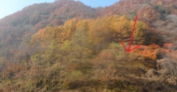 강원도 영월군 북면 마차리 OOO O OOO 전 경매 물건 이미지