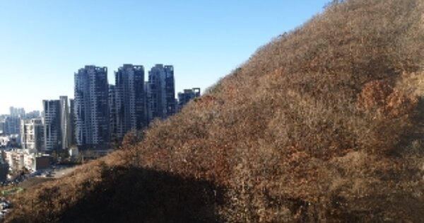 인천광역시 서구 가정동 OOOOO 임야 경매 물건 이미지