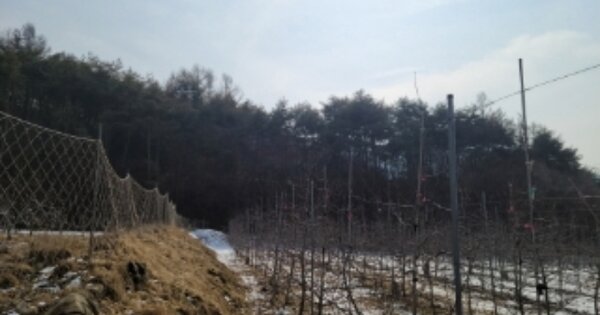 경상북도 봉화군 물야면 개단리 OO O OOO 전 경매 물건 이미지