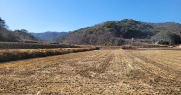 경상북도 영덕군 남정면 중화리 OOOOO 답 경매 물건 이미지