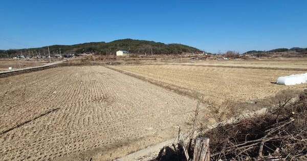 경상북도 예천군 호명면 송곡리 OOOOO 답 경매 물건 이미지