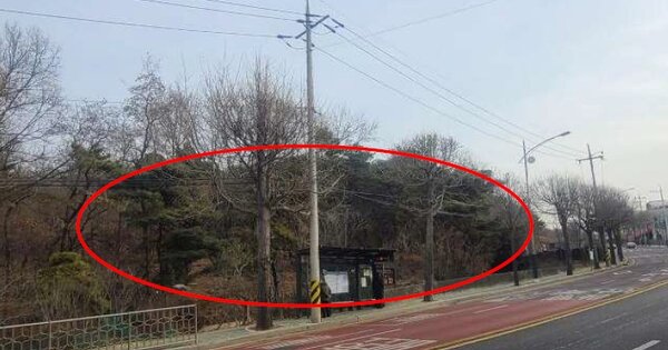 인천광역시 남동구 만수동 OOOOOO 임야 경매 물건 이미지