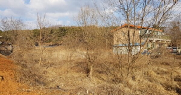 충청남도 당진시 송악읍 중흥리 OOO 답 경매 물건 이미지