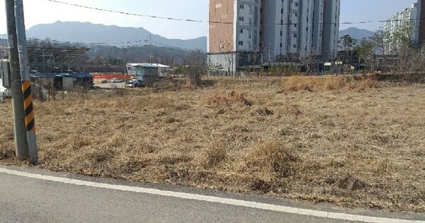 충청북도 옥천군 옥천읍 장야리 OOOOO O OOO 과수원 경매 물건 이미지
