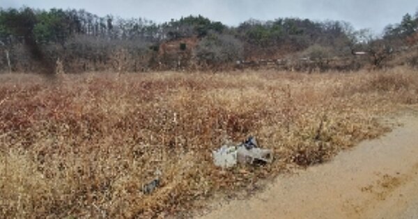 충청북도 영동군 심천면 구탄리 OOOOO O OOO 전 경매 물건 이미지