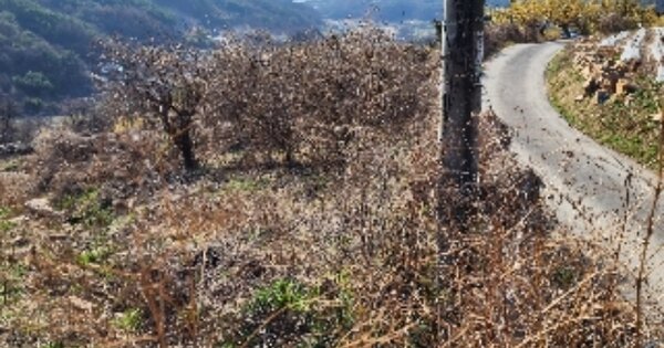 충청북도 제천시 수산면 상천리 OOO 전 경매 물건 이미지