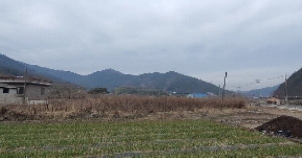 경상남도 의령군 의령읍 상리 OOOOO 답 경매 물건 이미지