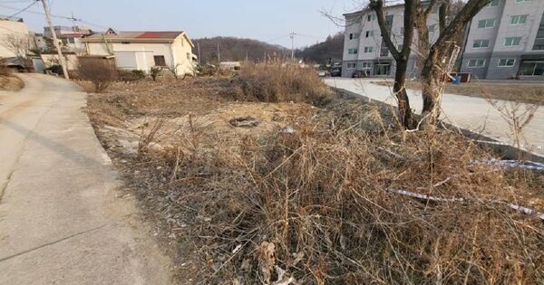 충청북도 충주시 산척면 송강리 OOOOOO 답 경매 물건 이미지