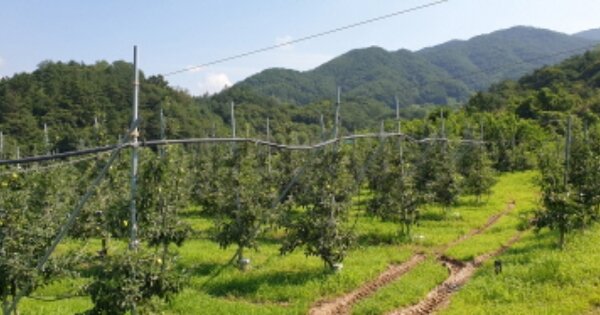 경상남도 거창군 마리면 율리 OO 전 경매 물건 이미지