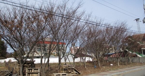 전라남도 영암군 영암읍 남풍리 OO 대지 경매 물건 이미지
