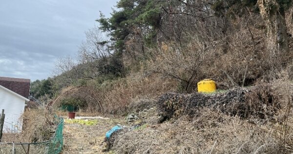 경상남도 통영시 광도면 우동리 OOO 전 경매 물건 이미지