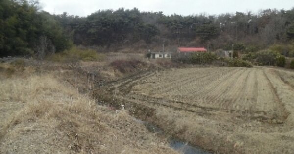 충청남도 당진시 정미면 대조리 OOO O OOO 전 경매 물건 이미지