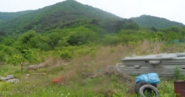 강원도 영월군 영월읍 연하리 OOOOO O OOO 전 경매 물건 이미지