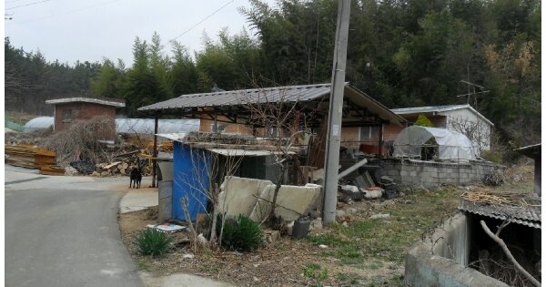 경상북도 성주군 선남면 도성리 OOO 답 경매 물건 이미지