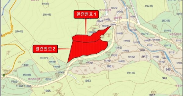 전라남도 순천시 별량면 대룡리 OOOO O OOO 임야 경매 물건 이미지