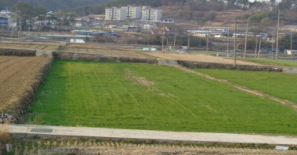 경상남도 남해군 남해읍 차산리 OOO 답 경매 물건 이미지
