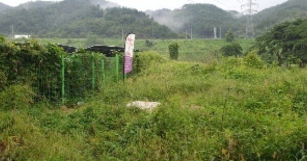 전라북도 남원시 사매면 서도리 OOOOOO O OOO 임야 경매 물건 이미지