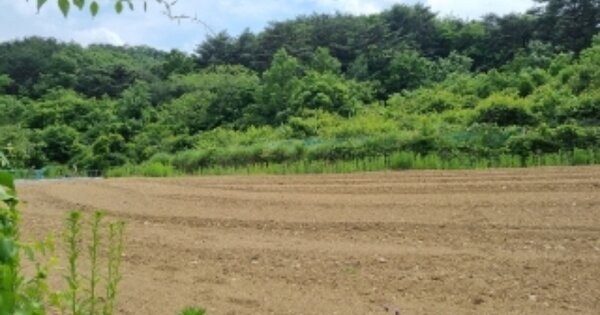 경상북도 경주시 문무대왕면 장항리 OOO O OOO 답 경매 물건 이미지