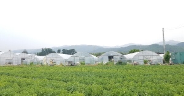강원도 춘천시 서면 신매리 OOO 답 경매 물건 이미지