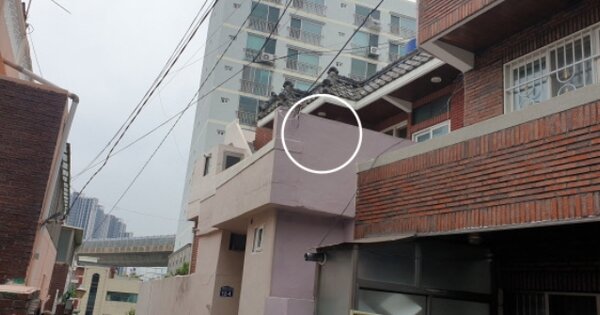 부산광역시 사상구 주례동 OOOOOO 단독주택 경매 물건 이미지