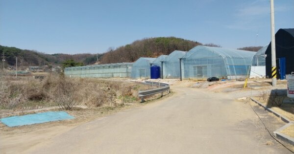 경기도 파주시 문산읍 이천리 OOOO 답 경매 물건 이미지