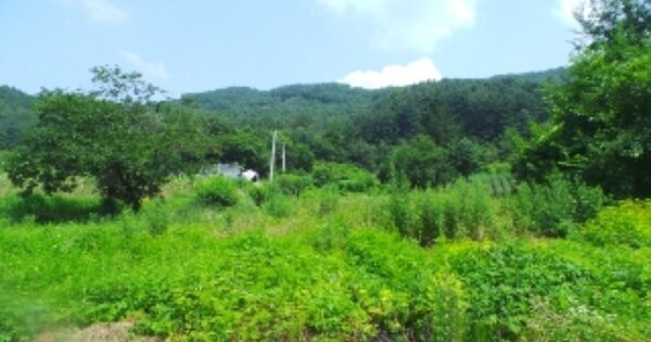 강원특별자치도 홍천군 북방면 성동리 OOOOO 전 경매 물건 이미지