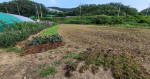 경상북도 고령군 다산면 벌지리 OOO 답 경매 물건 이미지
