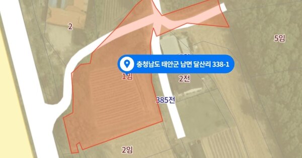 충청남도 태안군 남면 달산리 OOOOO 임야 경매 물건 이미지