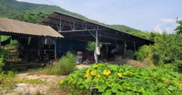 경상북도 고령군 대가야읍 내상리 OO 전 경매 물건 이미지