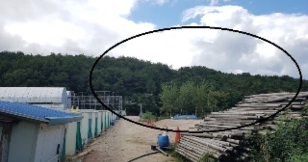 강원특별자치도 춘천시 동내면 거두리 OOOOO 임야 경매 물건 이미지