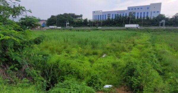 경기도 안성시 원곡면 지문리 OOO 답 경매 물건 이미지