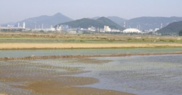 전라남도 여수시 소라면 대포리 OOOOOOO 답 경매 물건 이미지